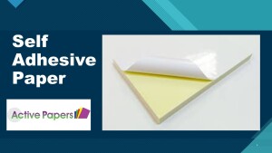 Self Adhesive Paper 12x24 Matt & Silk Surface